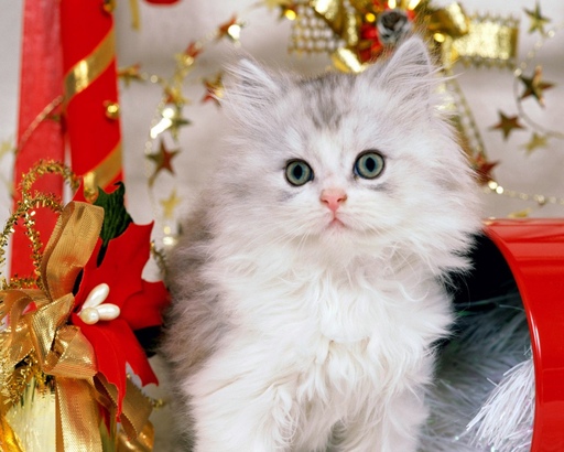 Всех с наступающим Новым Годом! Всех с наступающим Новым Годом!